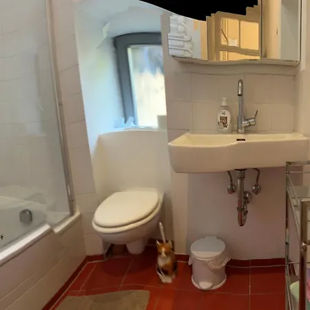 Appartamento Urban Apartement, Internet, Veranda, Zentrum Graz